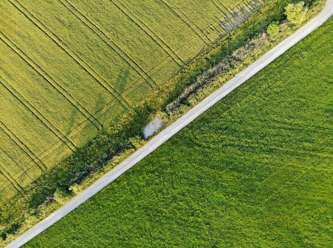 Road leading through green countryside